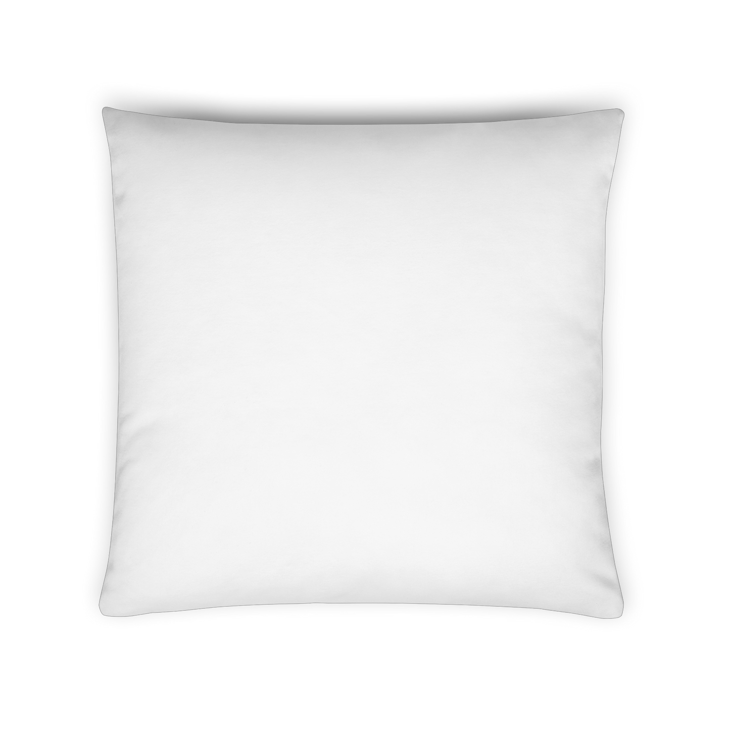 Pillows - Home decor - Monogrammed pillows - your own monogram