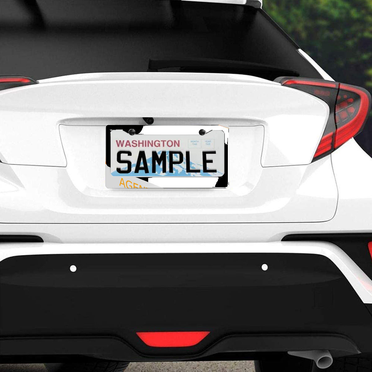 License Plate holder - CZ Veteran - agentorangeinpanama.com - SHIPPING INCLUDED